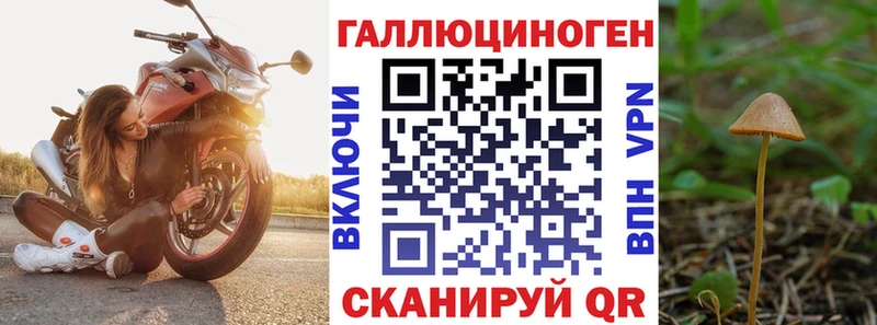 kraken как войти  Зеленодольск  Псилоцибиновые грибы ЛСД 